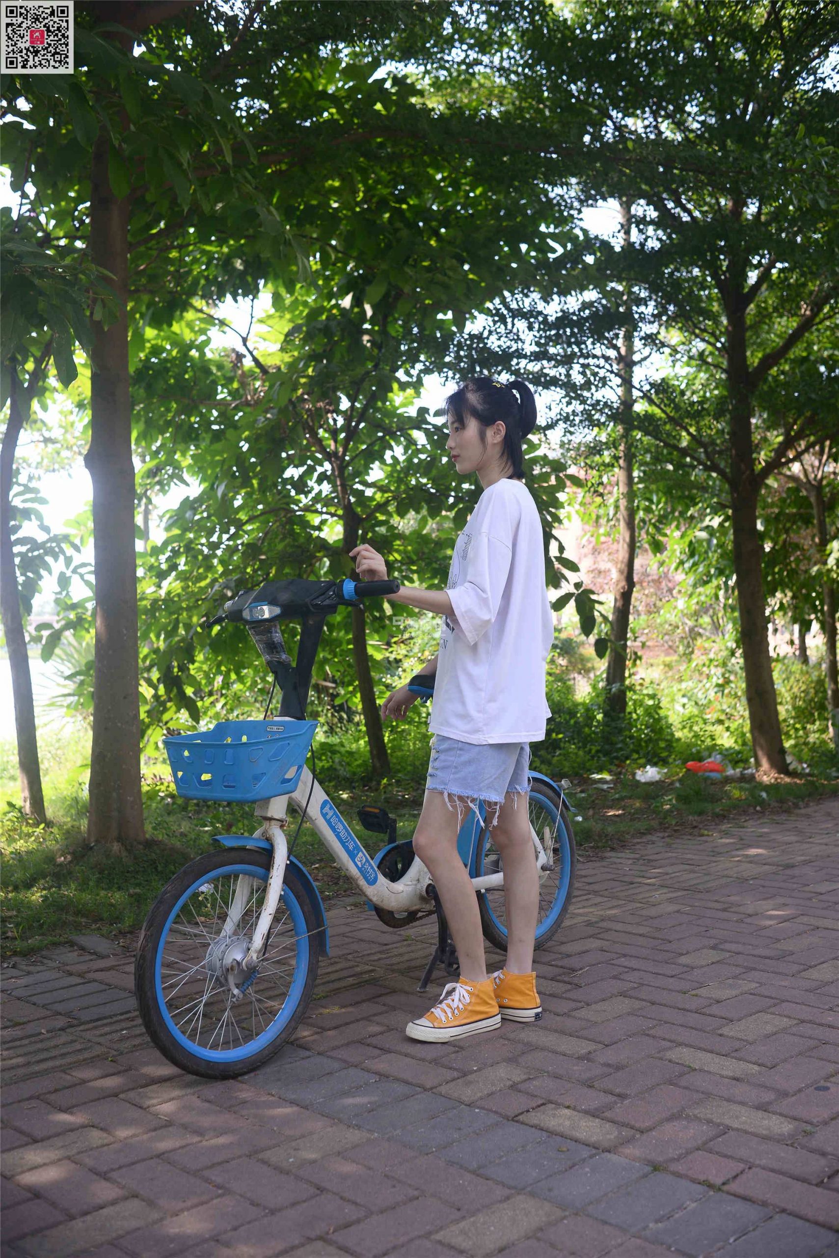 370期：陆佳 – 风一样的梦 棉袜-第1张